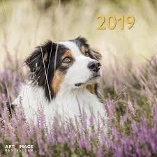 CALENDAR 2019 DOGS