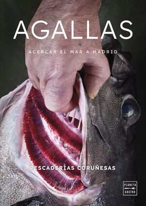 AGALLAS. PESCADERIAS CORUÑESAS