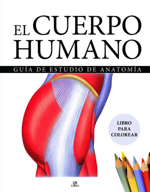 CUERPO HUMANO, EL