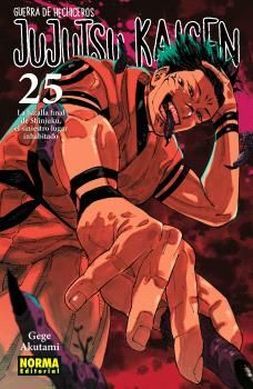 JUJUTSU KAISEN VOL. 25